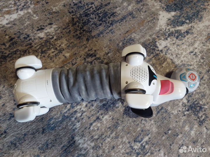 Собака робот