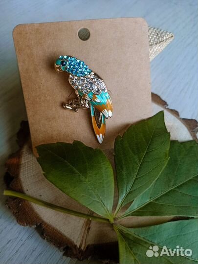 Брошь попугай