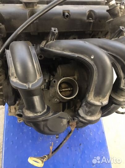 Двигатель в сборе Ford Focus ll (4426)
