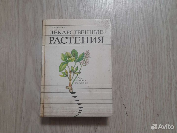 Лекарственные растения. Растения целители
