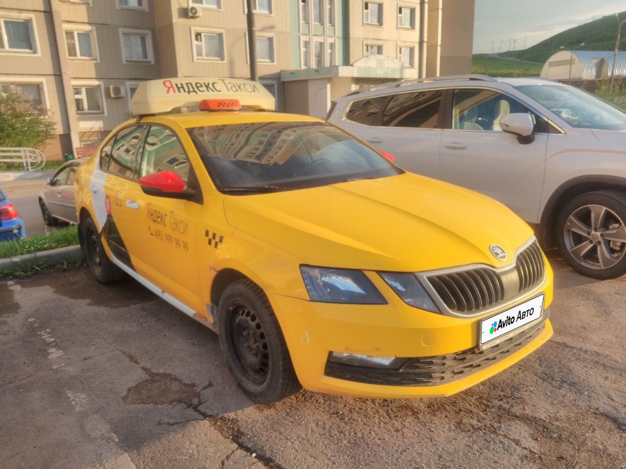 Skoda Octavia: фото владельца