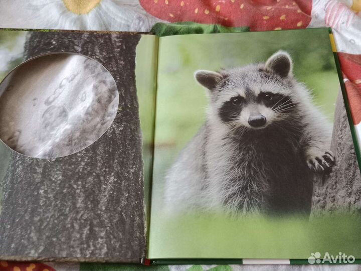 Детские книги, Энциклопедия кто где живет