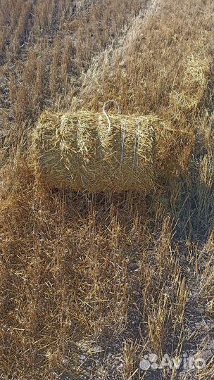 Солома в рулонах