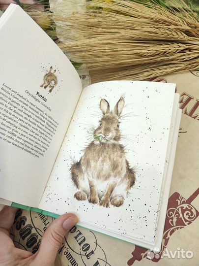 Книга Country Set Hannah Dale