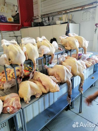 Индюки и индейки собираю заказы