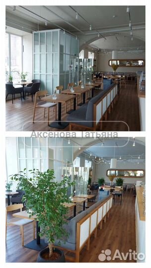 Фитодизайнер