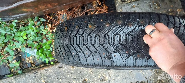 Cordiant Polar 195/65 R15 91