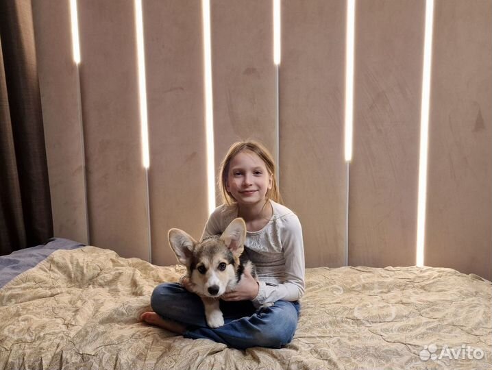 Мягкие стеновые панели, мягкие панели с подсветкой