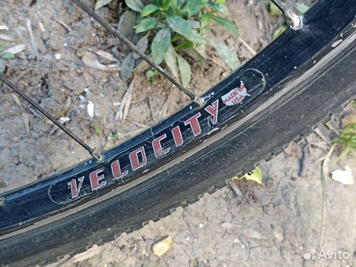 Octopus vulgaris st 54 фикс треклокрос