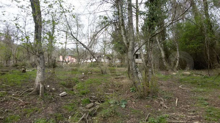 Участок 5,5 сот. (СНТ, ДНП)