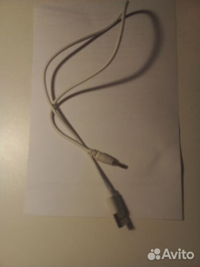 Поющий кактус