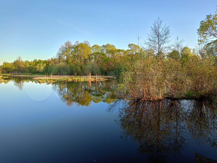 Участок 16 сот. (ИЖС)