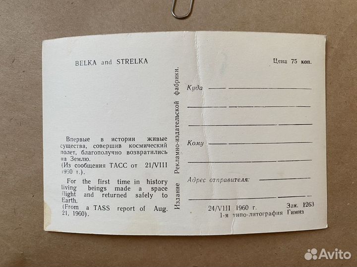 Открытка Белка и Стрелка 1950 год СССР