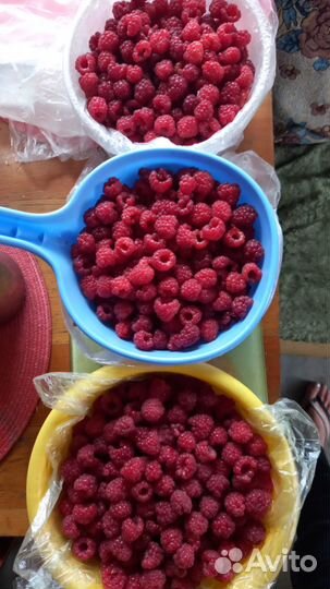 Продам малину или поменяю на абрикос