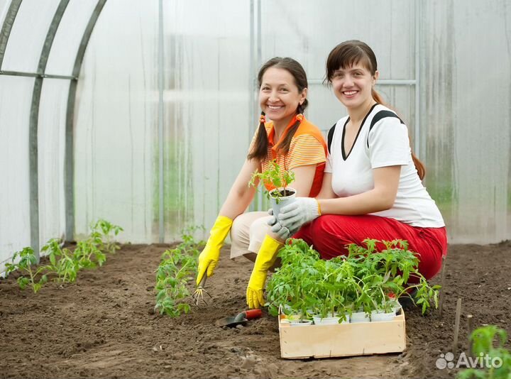 Купить плодородный грунт навалом