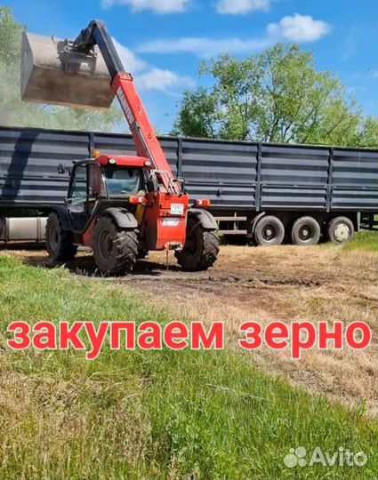 Зернозакупка