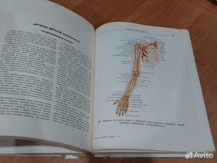 Атлас анатомии человека синельников