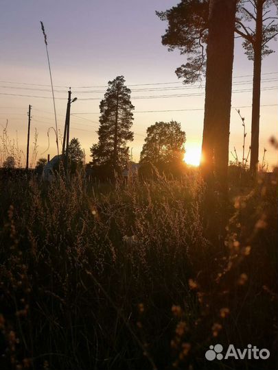 Накручу отзывы