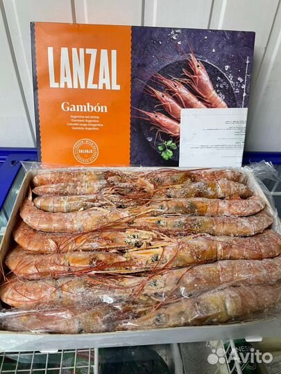 Креветки /Лангустины