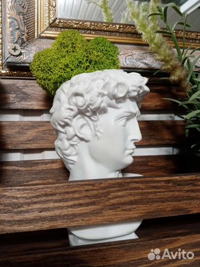 Стабилизированный мох, Апполон, скульптура