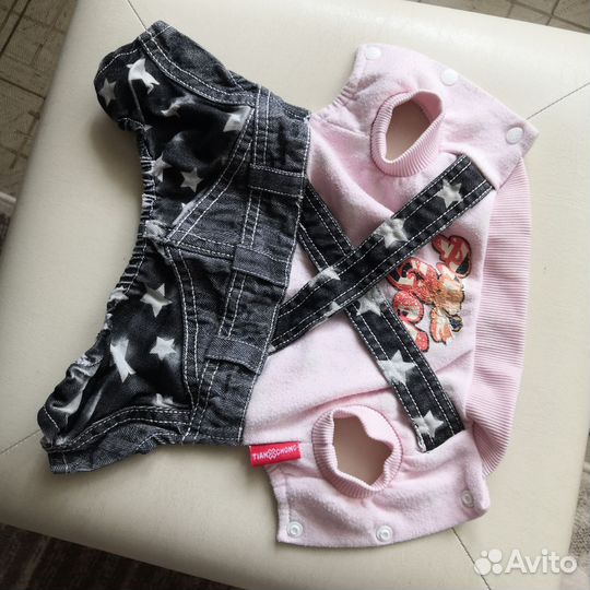 Одежда для маленьких собак xs