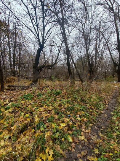 Участок 7,3 сот. (ИЖС)