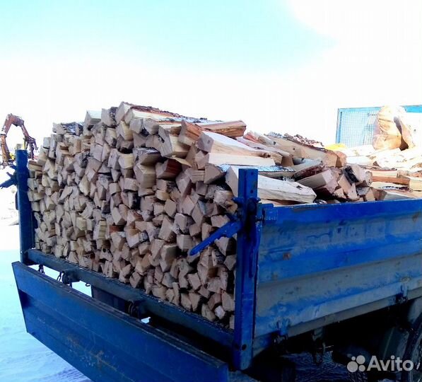 Дрова прошлогодний лес