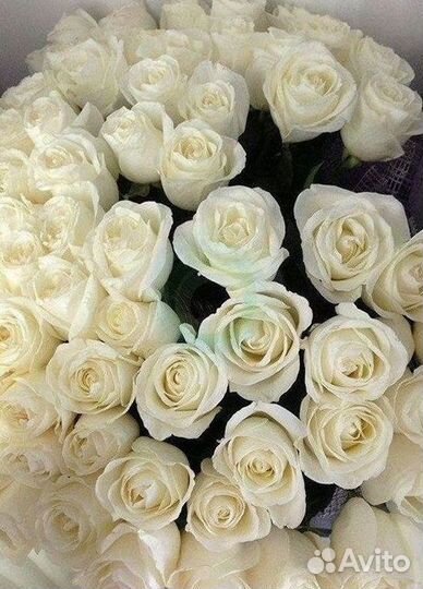 Розы Цветы Букеты 25 51 151 201 101 301 501 опт