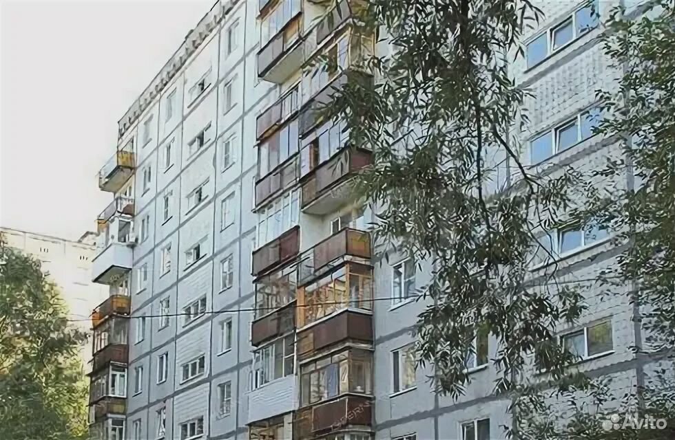 Фаворит ул бринского 8 нижний новгород фото ул. Бринского, 1/1 в Нижнем Новгороде: информация о доме, предложения о покупке 