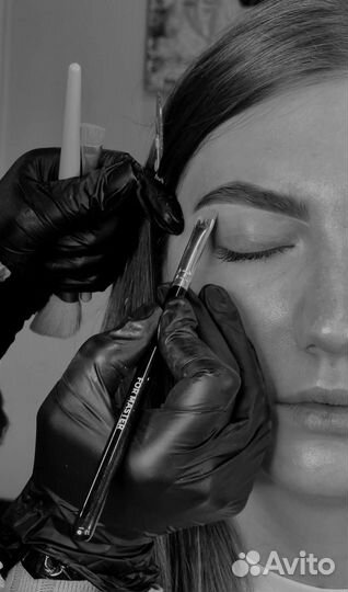 Бровист - администратор