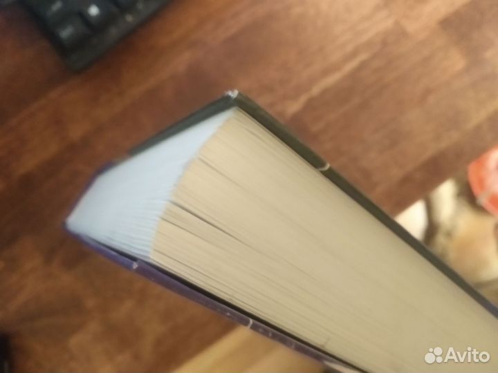 Энн Холландер «Взгляд сквозь одежду», нло, 2015