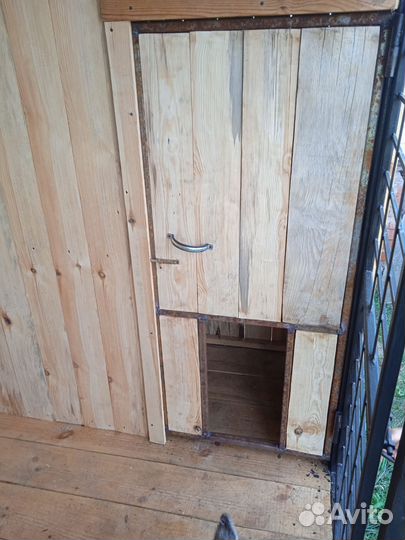 Вольер для собак уличный