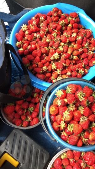 Дача 30 м² на участке 12 сот.