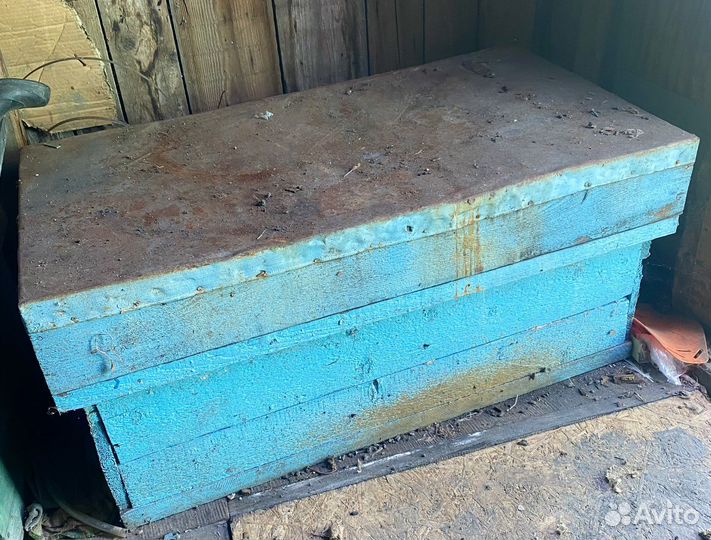 Пчелы улья пасеку