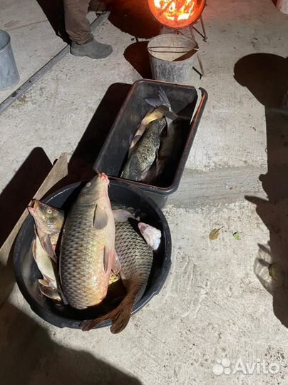 Охота и рыбалка