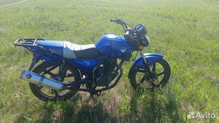 Irbis gs150