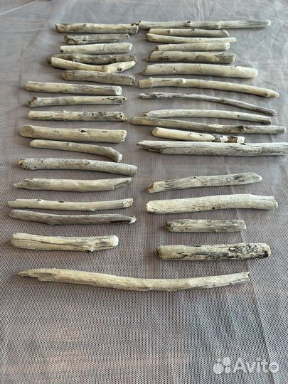 Дрифтвуд, палки, коряги