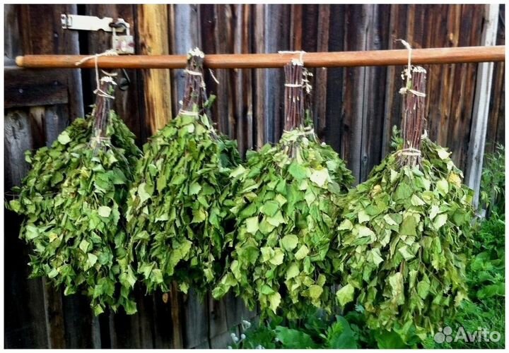 Березовые веники