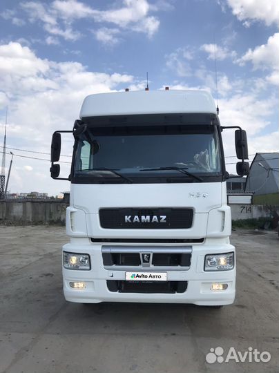 КАМАЗ 5490 NEO, 2017