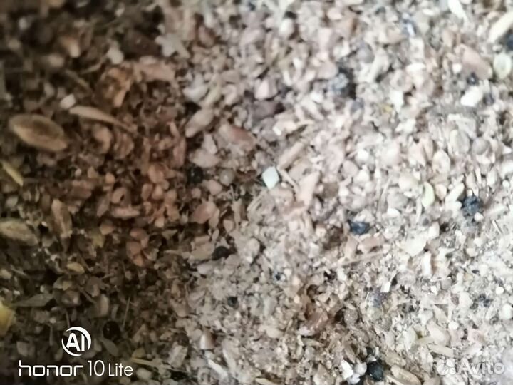 Ячмень,пшеница,зерносмеси,отруби, кукуруза