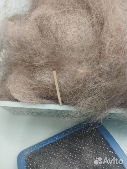 Пух хаски, маламута. Собачья шерсть