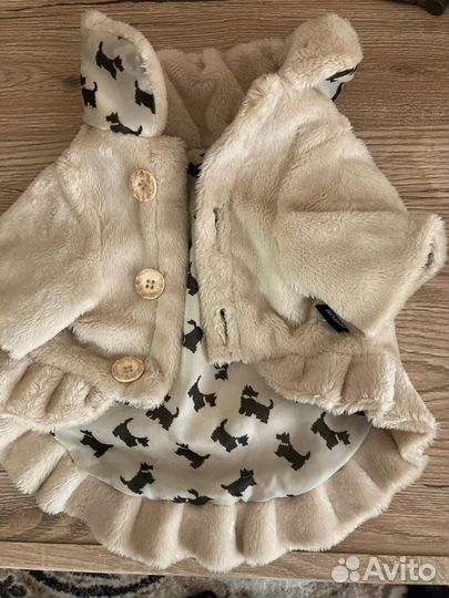 Одежда для животных