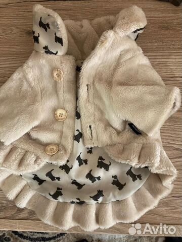 Одежда для животных