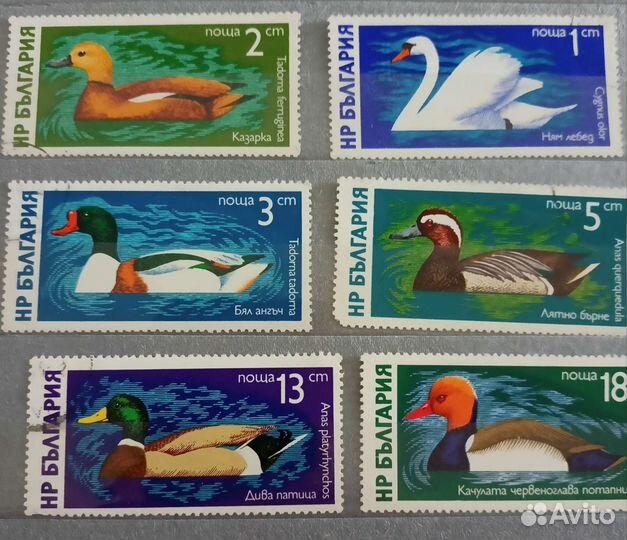 Почтовые марки птицы