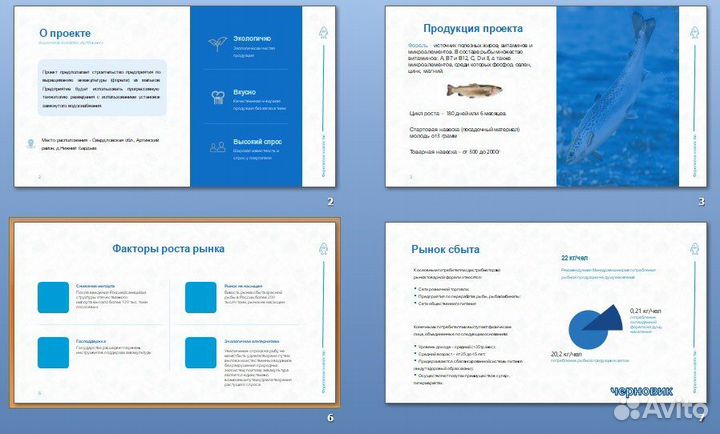 Бизнес план, финансовая модель, презентация