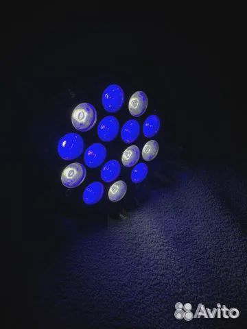 Живые кораллы, оборудование для морского аквариума