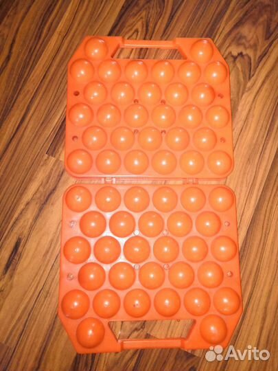 Яйцеклетка