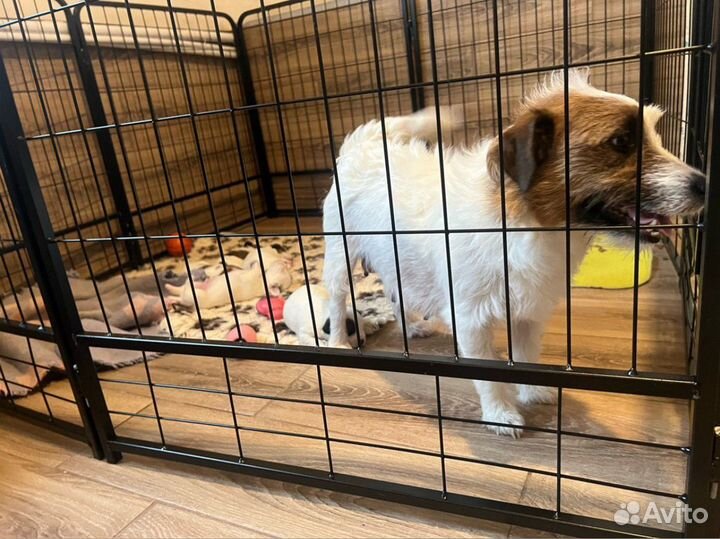 Усиленный вольер доставка в Ялту
