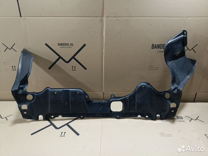 Защита двс Honda Stepwgn RK1 (Переднее)