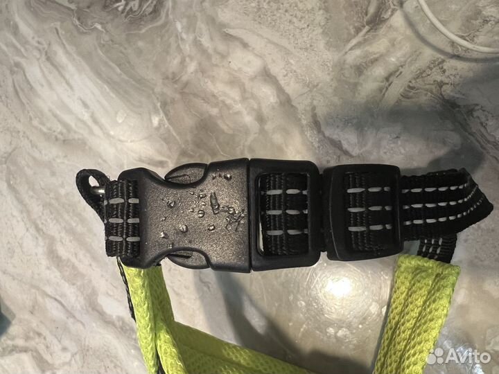 Шлейка для щенка